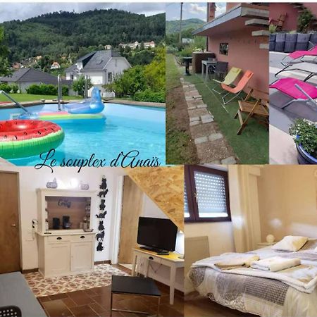 Le Souplex D'Anais Bed & Breakfast Schirmeck Dış mekan fotoğraf