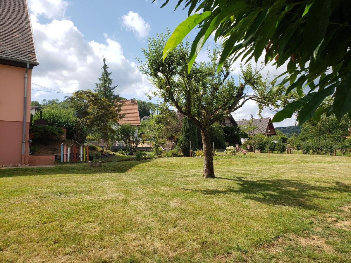 Le Souplex D'Anais Bed & Breakfast Schirmeck Dış mekan fotoğraf