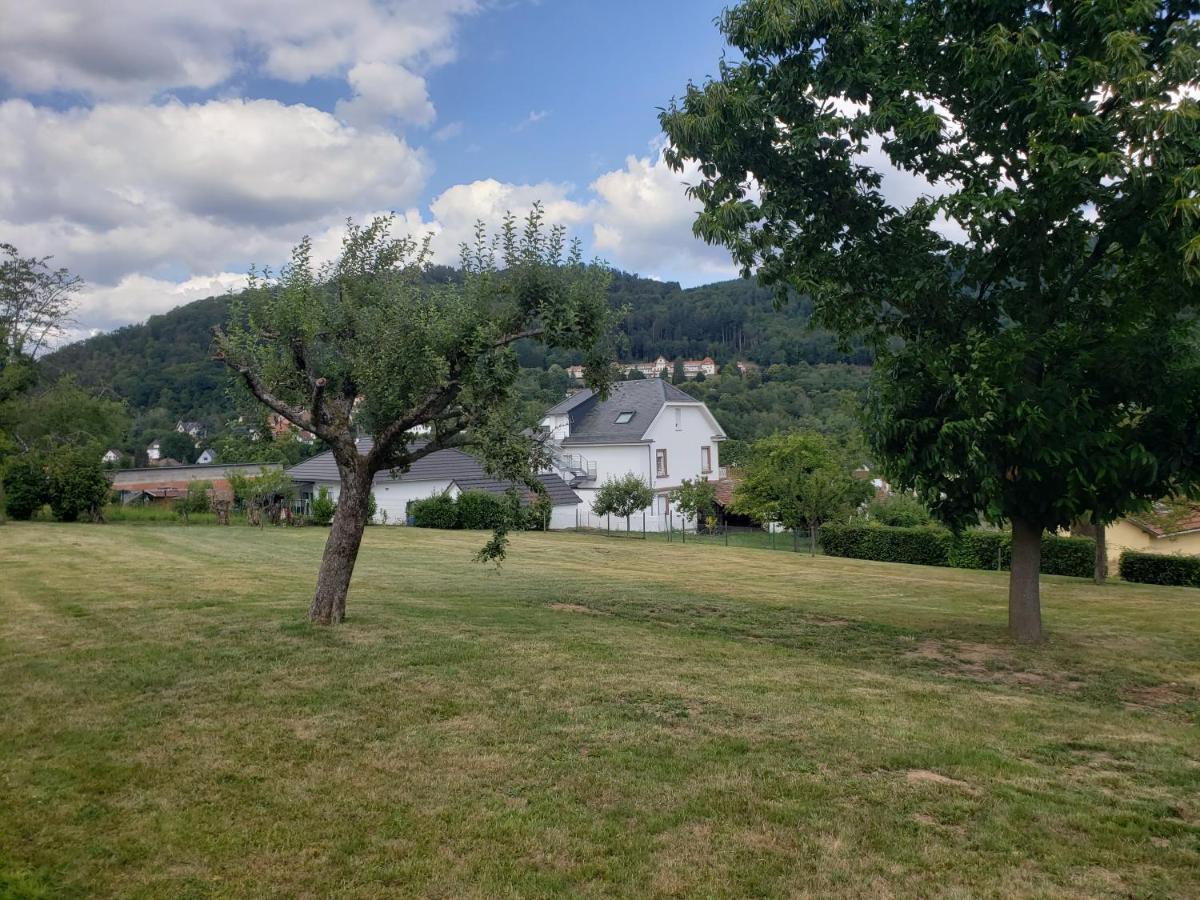 Le Souplex D'Anais Bed & Breakfast Schirmeck Dış mekan fotoğraf